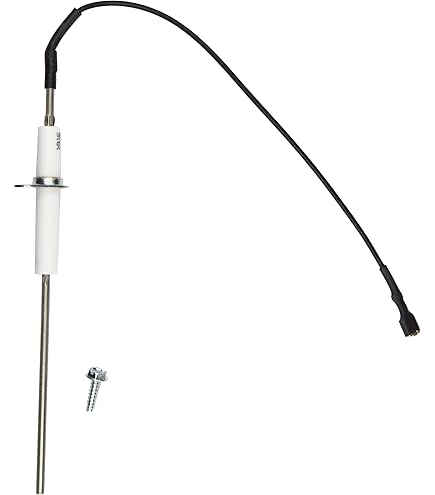 Amazon.com : Zodiac R0457400 High-Limit Wire Harness Switch